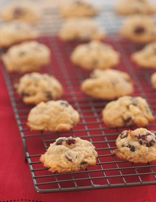 Cranberry Orange and Chocolate Cookies