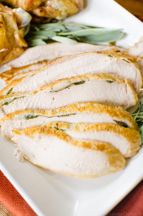 Slow Cooker Turkey Breast 