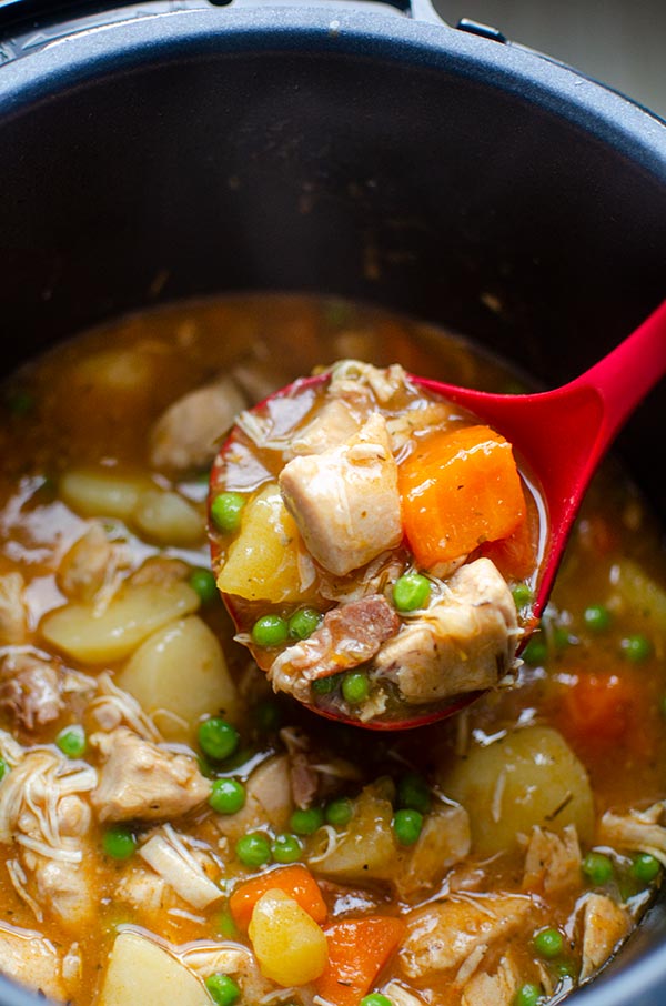 Ladle full of pressure cooker chicken stew.