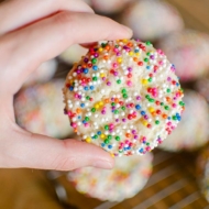 Hand holding sugar cookie rolled in sprinkles