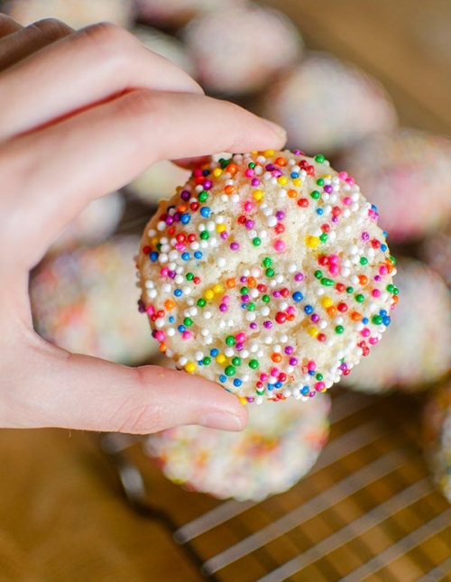Hand holding sugar cookie rolled in sprinkles