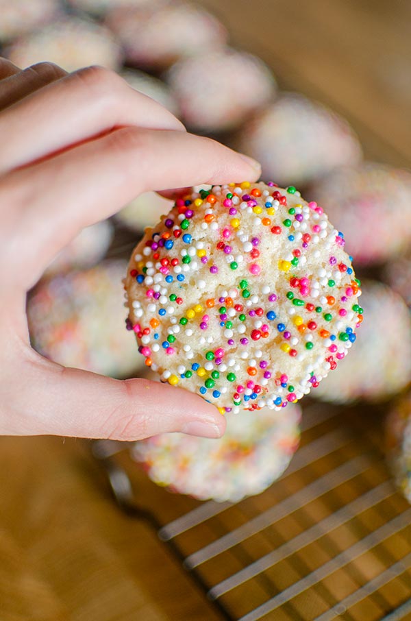 Hand holding sugar cookie rolled in sprinkles